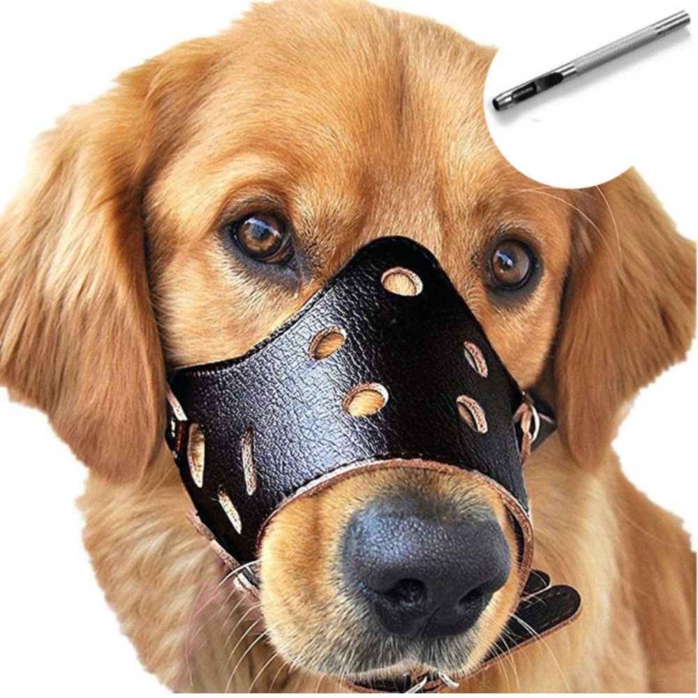 Medium size dog muzzle